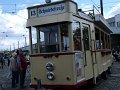 Trammoldie   003